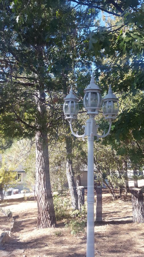 Bluebird Cottage Inn Idyllwild Bagian luar foto