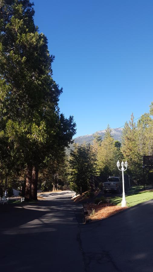 Bluebird Cottage Inn Idyllwild Bagian luar foto