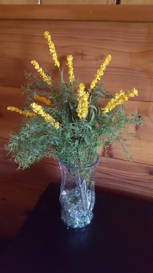 Bluebird Cottage Inn Idyllwild Bagian luar foto