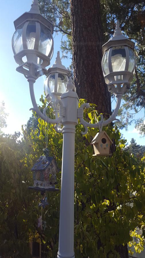 Bluebird Cottage Inn Idyllwild Bagian luar foto